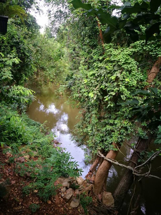 Hotel The Creek At Khao Yai Pak Chong Exterior foto